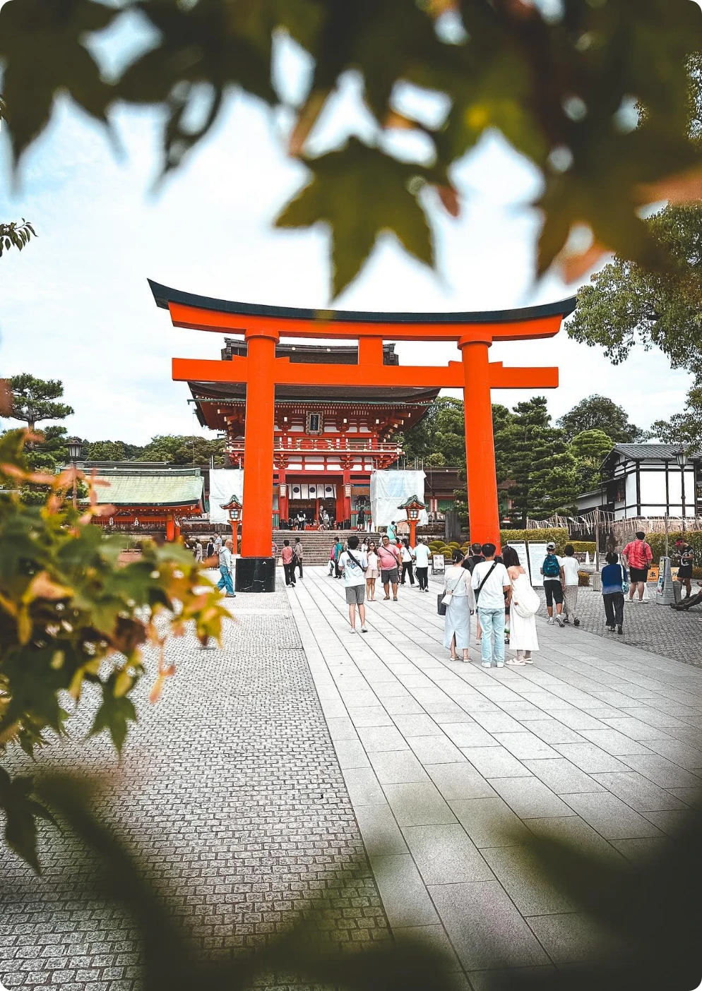 kyoto torii gate